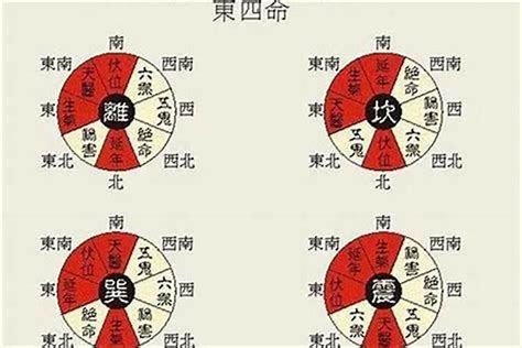 东四命住宅|八宅风水详解：什么是东四命与西四命？